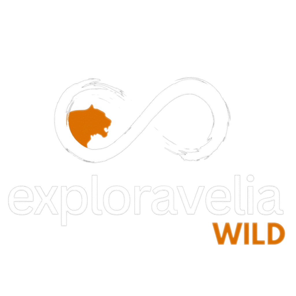 best tiger safari destination in india