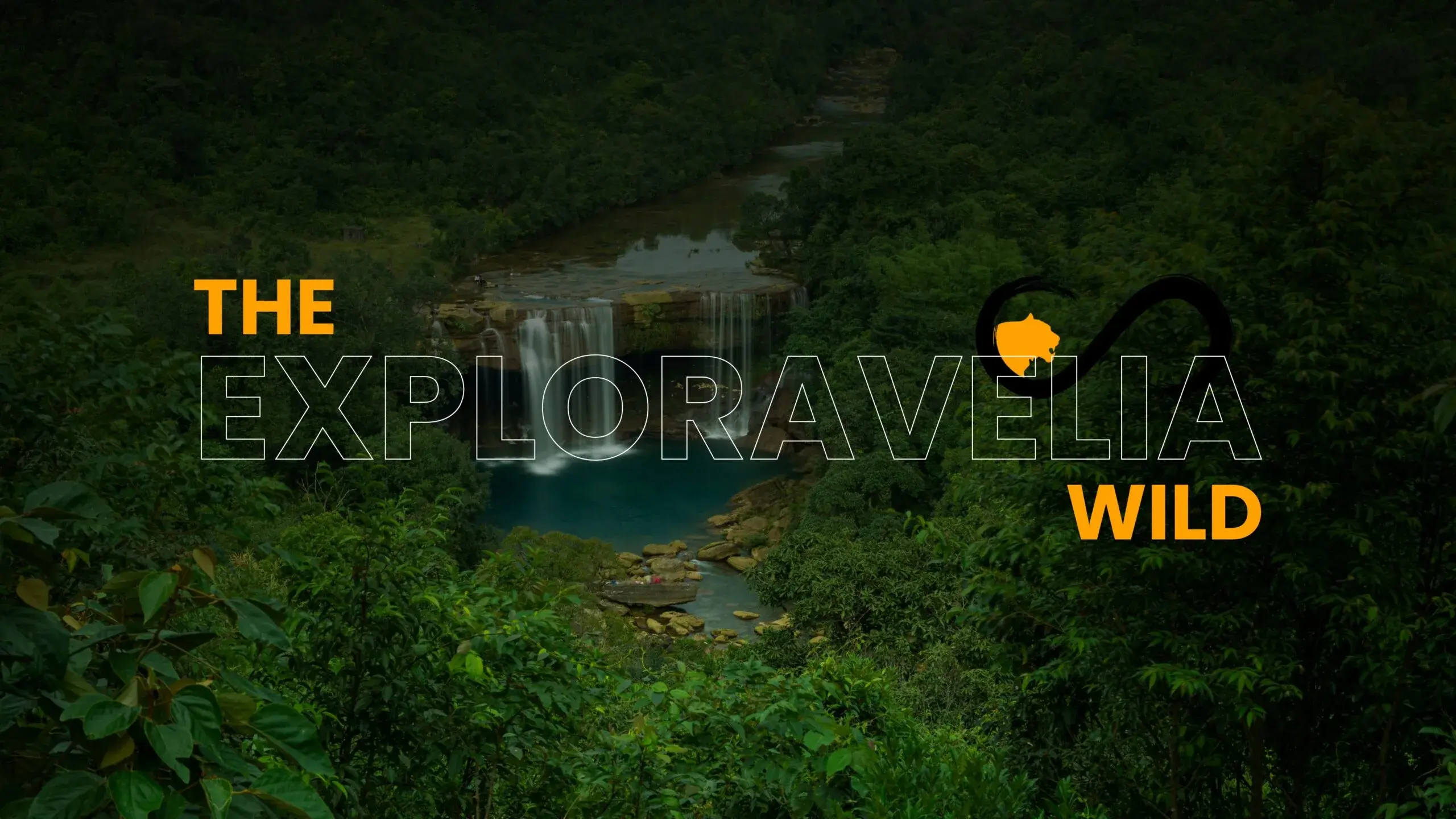 leopard safari | Ranthambore safari | safari in India | safari in Rajasthan | tiger safari in India | tiger sight | tiger safari | Safari in Ranthambore | Ranthambore wild