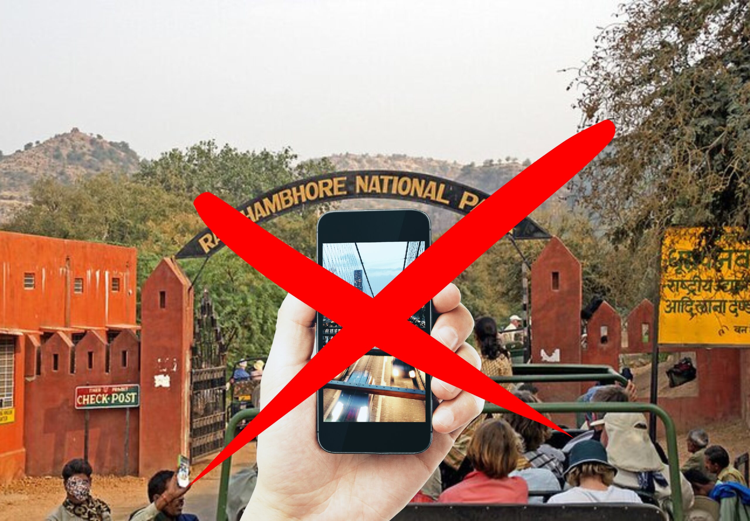 Why Mobile Phones are Banned in Ranthambore National Park: Everything You Need to Know