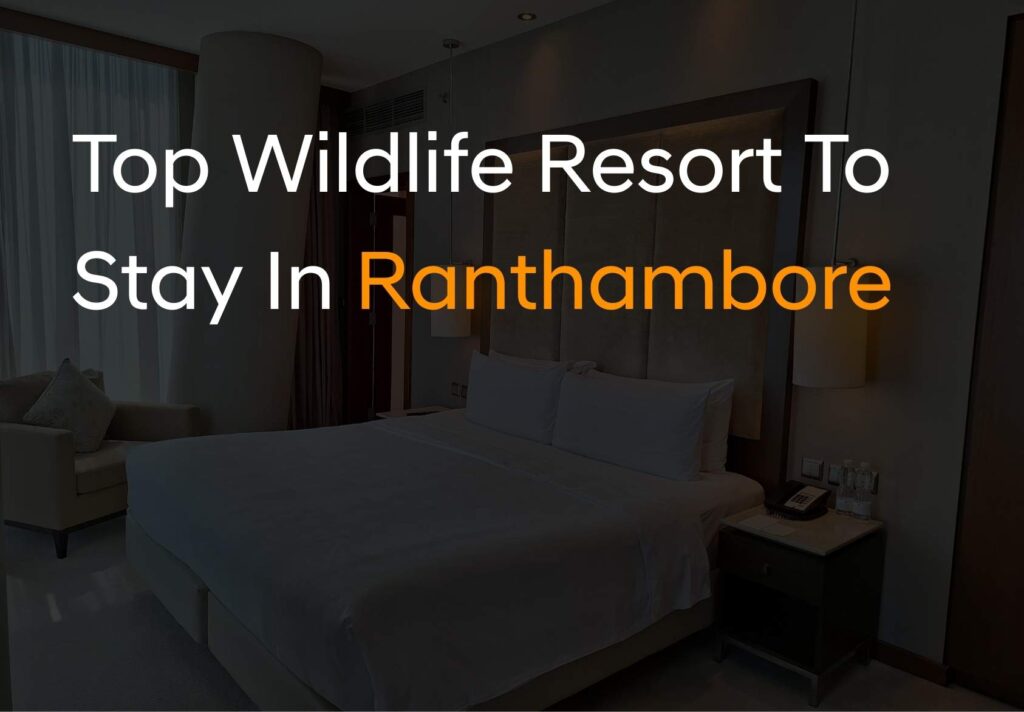 Best Wildlife Resorts to Stay in Ranthambhore | best resort in ranthambore | best hotels ion ranthambore | best hotels resort in ranthambore