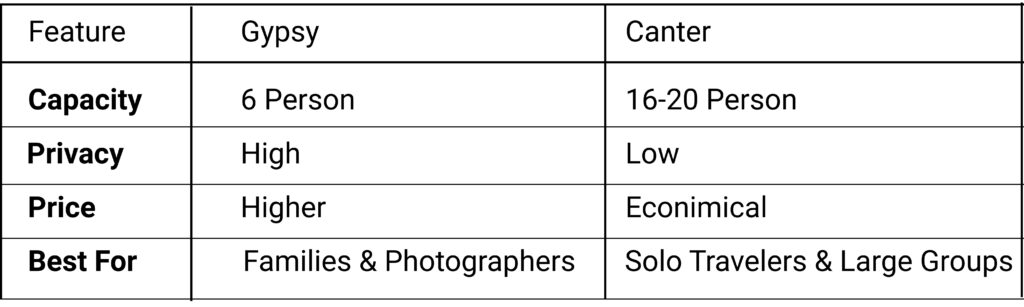 leopard safari | Ranthambore safari | safari in India | safari in Rajasthan | tiger safari in India | tiger sight | tiger safari | Safari in Ranthambore | Ranthambore wild