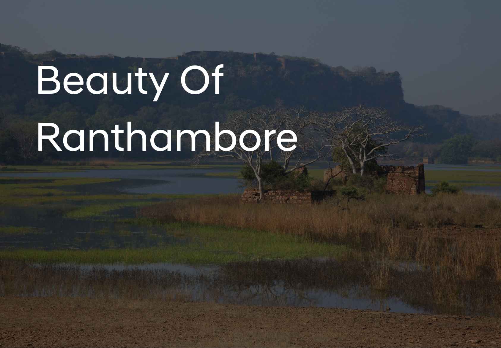 The Timeless Beauty Of Ranthambore Fort