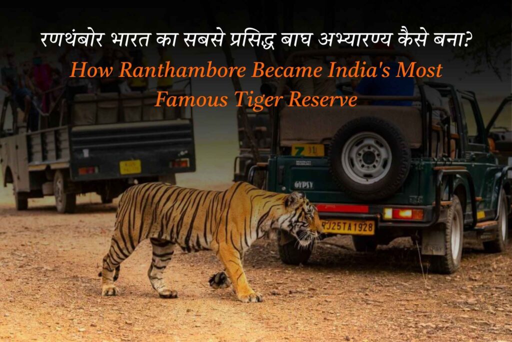 Machli tigress in Ranthambore National Park Bengal tiger crossing safari track in Ranthambore Ranthambore Fort overlooking tiger reserve Riddhi tigress with cubs in Ranthambore Wildlife safari vehicle in Ranthambore National Park Scenic lake landscape inside Ranthambore Tiger Reserve Tiger photographed near Padam Talao Ranthambore Bengal tiger resting in Ranthambore forest