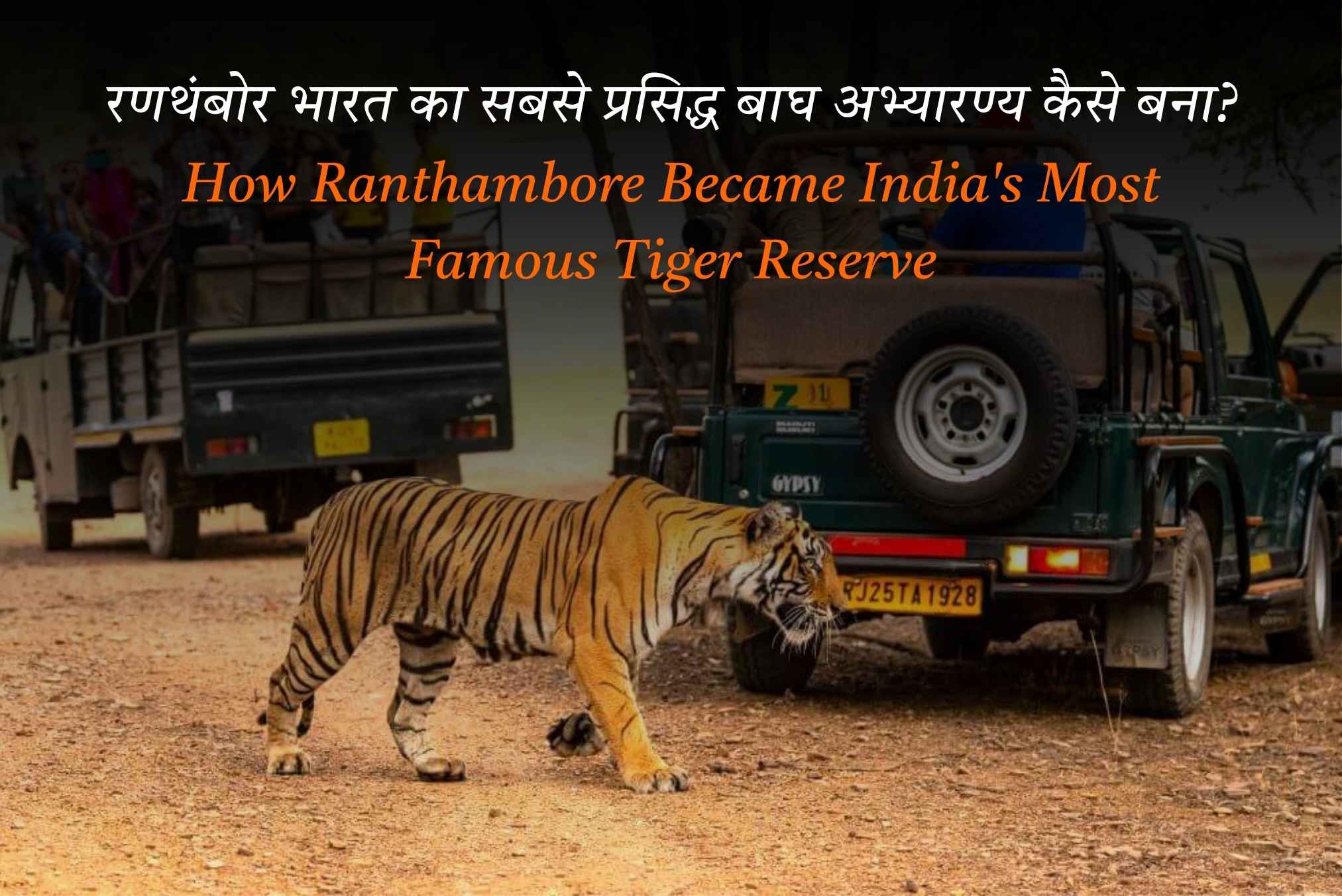 How Ranthambore Became India’s Most Famous Tiger Reserve