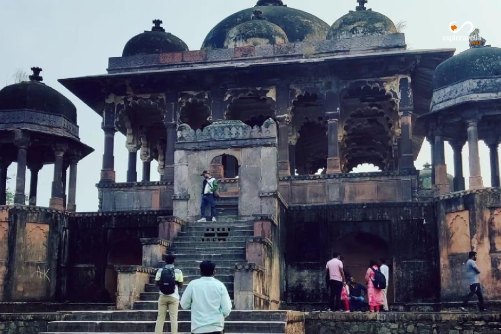 Bengal tiger standing near the historic Ranthambore Fort inside Ranthambore National Park, Rajasthan, showcasing India's iconic tiger territory and UNESCO World Heritage fortress.