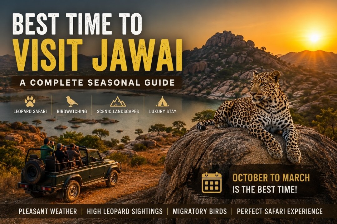 Best Time to Visit Jawai